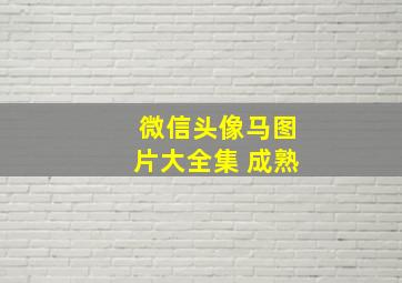 微信头像马图片大全集 成熟